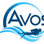 Eindejaarsboodschap Avos 2020